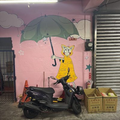 Wall art of a cat in a yellow rainjacket holding an umbrella, set against a bright pink wall